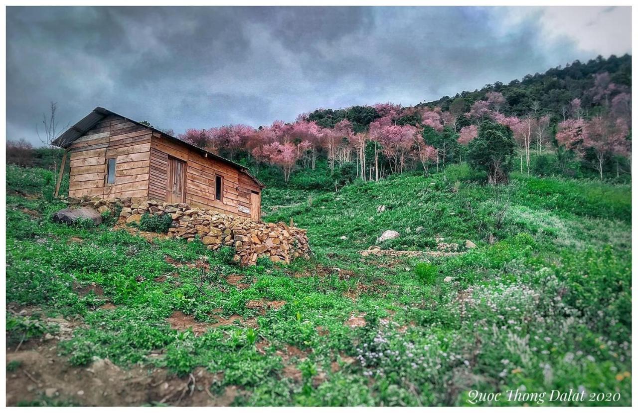 Vanila House Dalat Luaran gambar